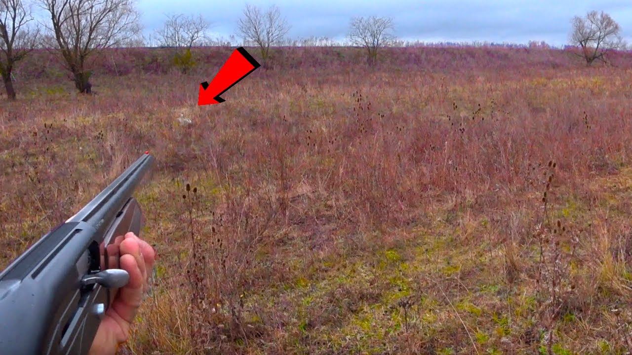 ДЕЛИКАТЕСЫ И ЗАЯЦ !!! смотреть онлайн