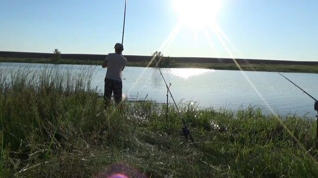 Ловля Карпа смотреть онлайн