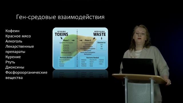 1 Системный подход в обосновании механизмов взаимодействия генотипа, фенотипа и среды Часть 1 смотреть онлайн