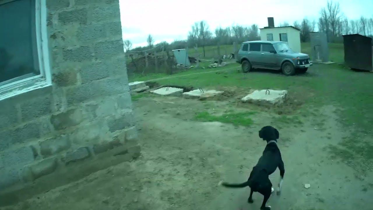 02.12.2023 ЧТО ДЕЛАТЬ? : ЛПХ В ОПАСНОСТИ смотреть онлайн