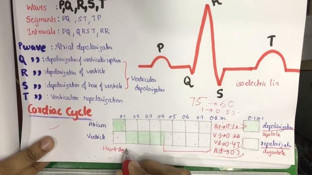ECG (ELECTROCARDIOGRAM,ANALYSIS OF ECG,CONDUCTING SYSTEM OF Heart,BLOOD CIRCULATION)..!!!!!!! смотреть онлайн