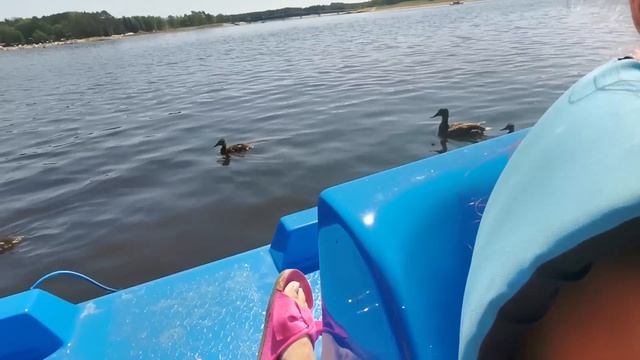 Kolejny wakacyjny wypad 🌞 Gdzie w centrum Polski można fajnie wypocząć 🌞🌞🌞 Vlog Kundzi🙊 odc.90 смотреть онлайн