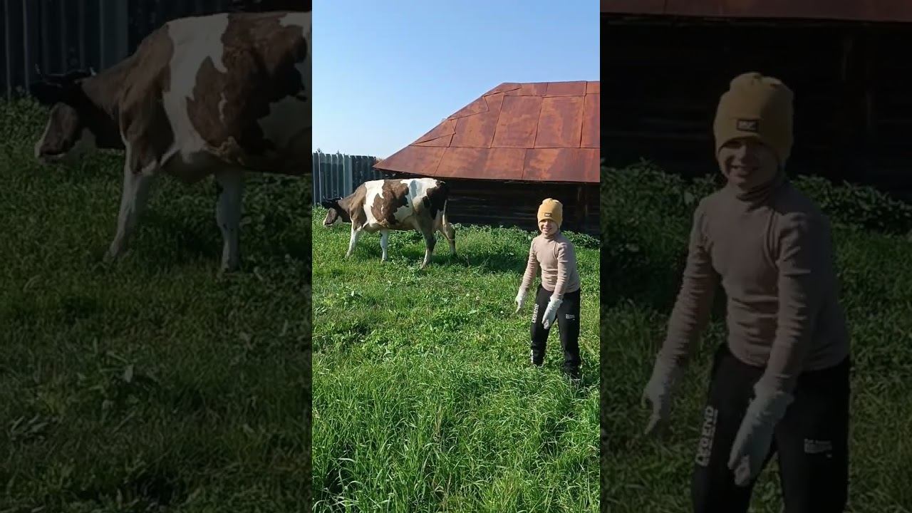 МоЯ смотреть онлайн