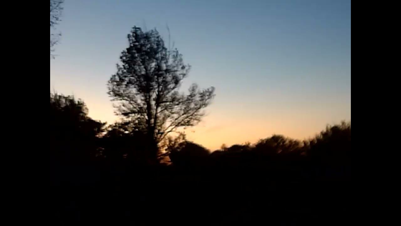 11.09.2024 ЧТО ДЕЛАТЬ? : ЛПХ В ОПАСНОСТИ смотреть онлайн