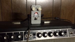 Animals Pedals Bath Time Reverb | Stratocaster