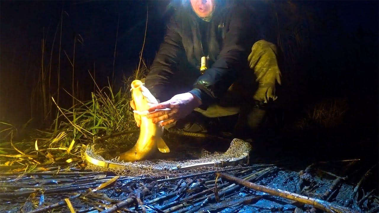 САЗАНА КИШИТ. !!! смотреть онлайн