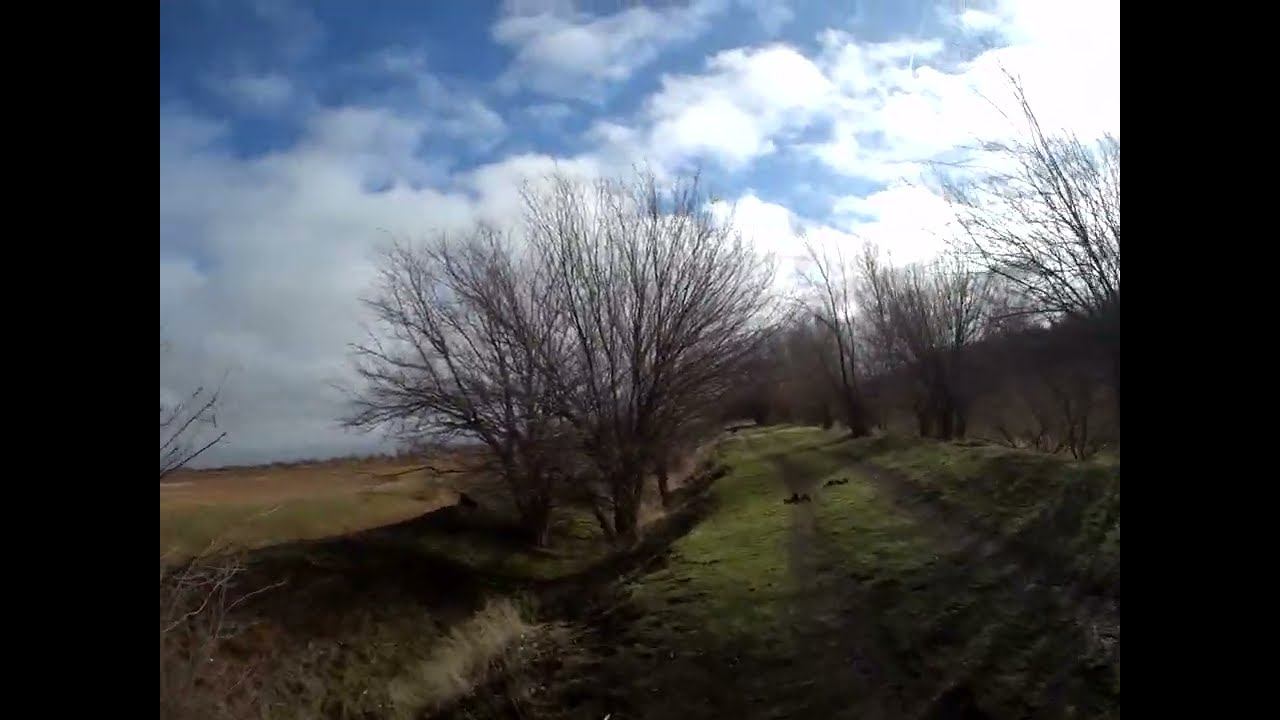 20.11.2024 ЧТО ДЕЛАТЬ? : ЛПХ В ОПАСНОСТИ смотреть онлайн