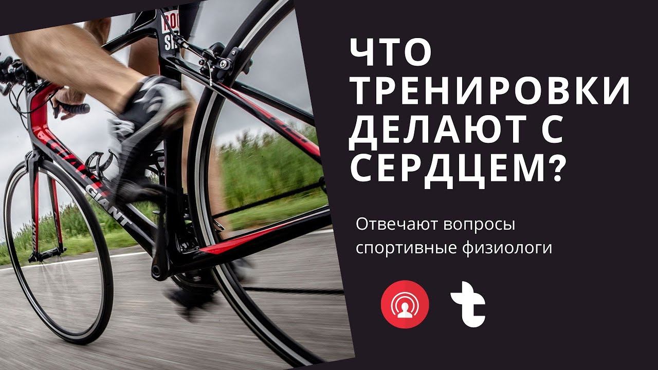 Какие тренировки вредны и полезны для сердца? Ответы на вопросы в прямом эфире смотреть онлайн
