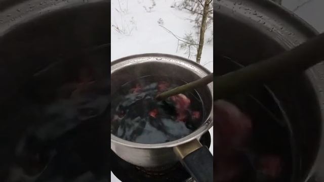 ПВД,глинтвейн в зимнем лесу смотреть онлайн