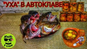 Суп «Уха» из трёх видов рыб в автоклаве