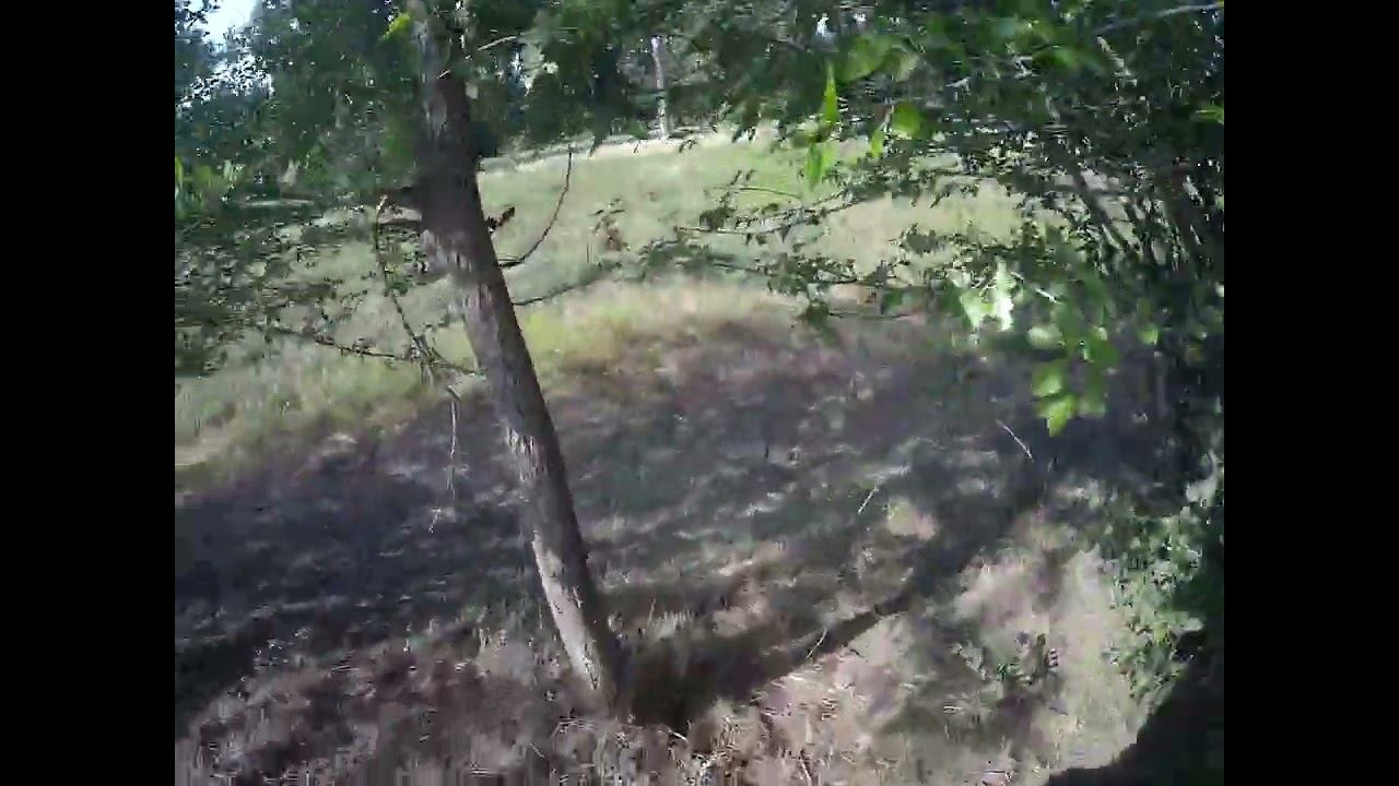 11.07.2024 ЧТО ДЕЛАТЬ? : ЛПХ В ОПАСНОСТИ смотреть онлайн