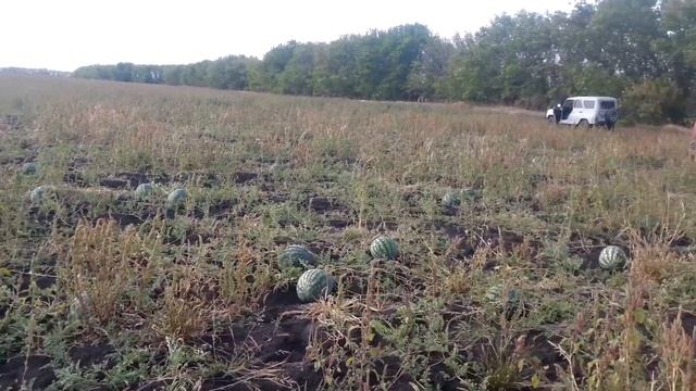 20140913 133144 волгоград смотреть онлайн