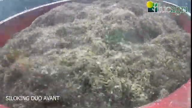 Lucagri Siloking Duo Avant смотреть онлайн