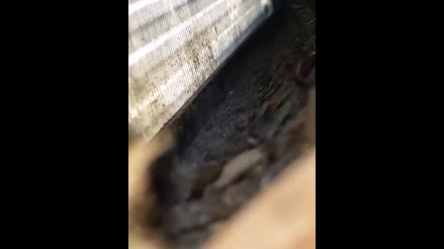 BMW E36 Cabin Air Filter Box Cleaning смотреть онлайн