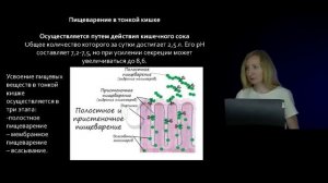 22 Физиология пищеварительной системы