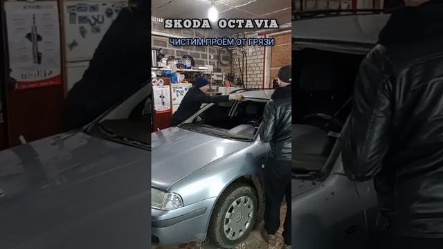 Установка лобового стекла Skoda Octavia Tour