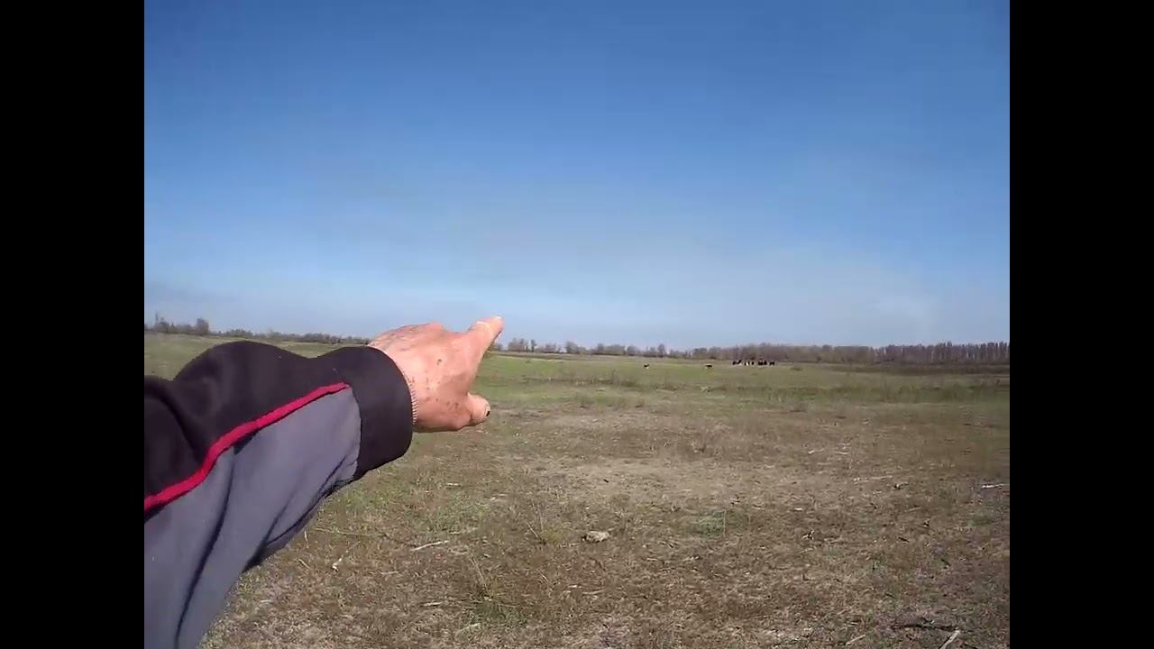 09.04.2024 часть 1 ЧТО ДЕЛАТЬ? : ЛПХ В ОПАСНОСТИ смотреть онлайн