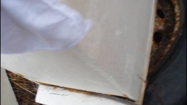 Зимовка без потерь!Выставили пчёл! В ожидании облёта! смотреть онлайн