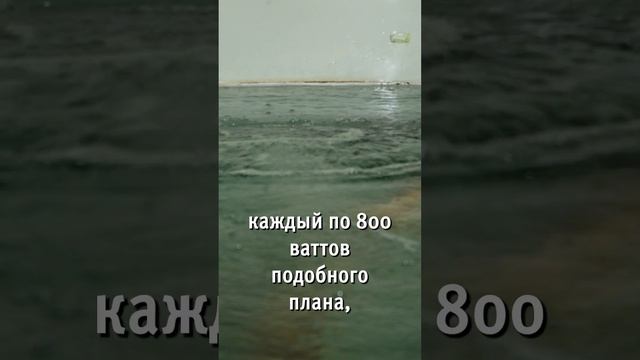 Зимовал s_3 #акваферма #осетр #разведениерыбы смотреть онлайн