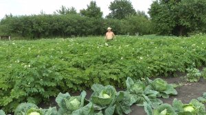 Мотоблок,мототрак и немного обо всём. 2022г.