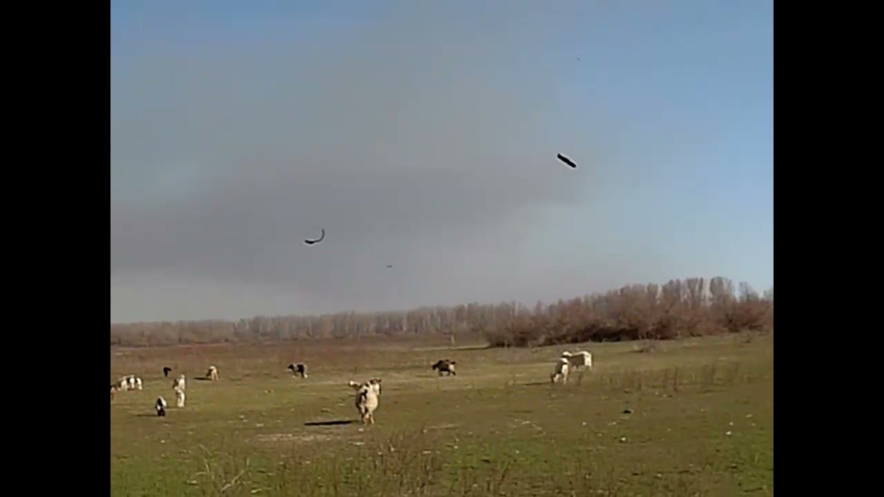 03.04.2024 Экология Астраханской области в опасности смотреть онлайн