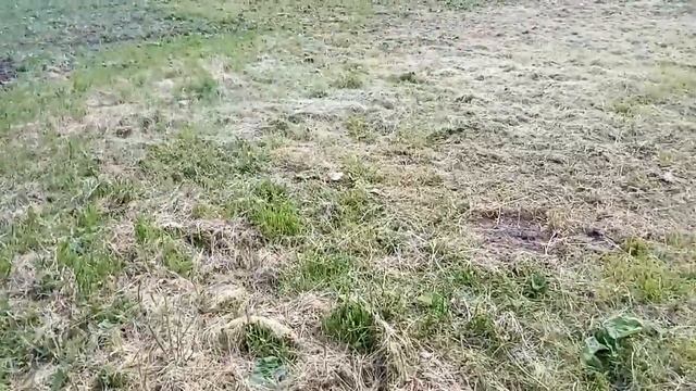 Обзор на 9 июня, кругом один сорняк. смотреть онлайн