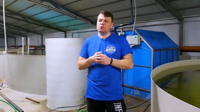 Барабанный фильтр. Обзор четвёртой Аквафермы. Часть 2 смотреть онлайн