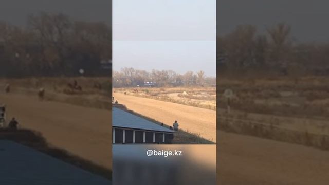 Алтын Тай Байге сi смотреть онлайн
