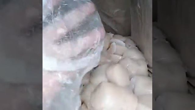 Икра Красная в Томске!Северске!ФИЛЕ ГРЕБЕШКА!КАМЧАТКА!КРАБЫ!РАКИ!КРЕВЕТКИ!РЫБА СЕМГА. IKRA70.RU смотреть онлайн