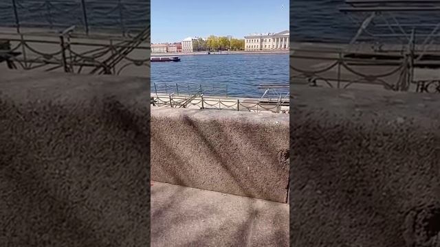 22.05.2022, прогулка по центру Питера, метро Адмиралтейская, парк "Новая Голландия" смотреть онлайн