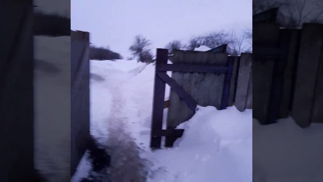 Вечерние побегушки. смотреть онлайн
