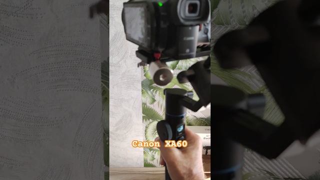 Видеокамера Canon XA60 на стабилизаторе. Скоро смотрите на канале! #canonxa60 смотреть онлайн