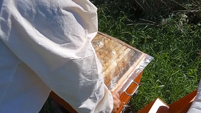 Что случилось с этим ульем за год. Обзор улья из массива спустя год после эксплуатации. смотреть онлайн