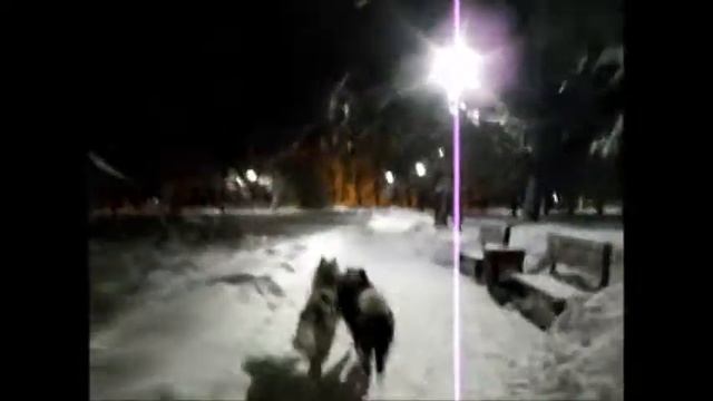 зима снег утро смотреть онлайн