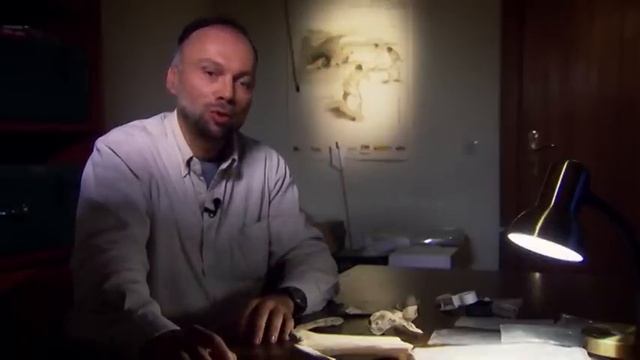 Prehistoria. Tras las huellas de los primeros humanos смотреть онлайн