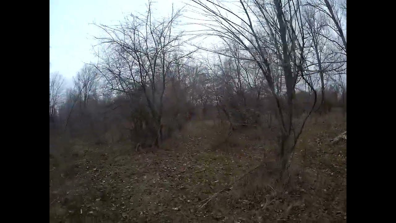 6.12.2024 ЧТО ДЕЛАТЬ? : ЛПХ В ОПАСНОСТИ смотреть онлайн