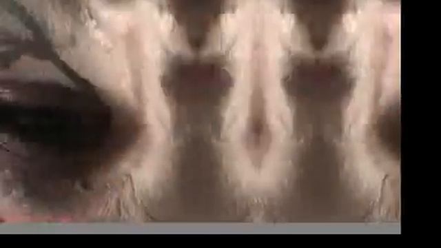 Peaches - Slippery Dick Video смотреть онлайн