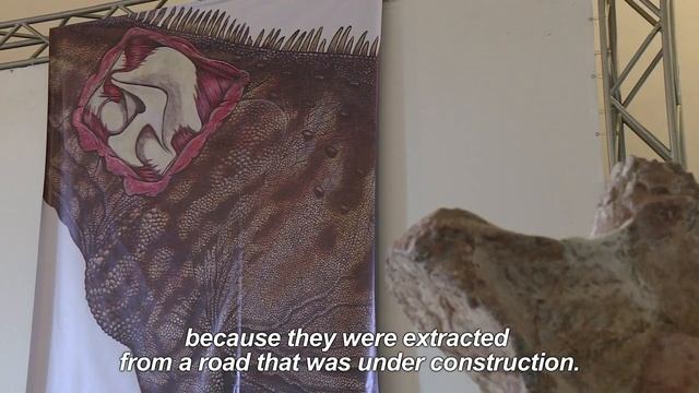 Brazil's biggest dinosaur found after 60 years in storage смотреть онлайн