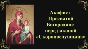 22 ноября. Акафист Пресвятой Богородице перед иконой «Скоропослушница»
