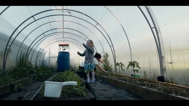 Деревенский, вечерний перекус на свежем воздухе. Курица на открытом огне. смотреть онлайн