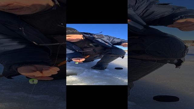 Поимка на поставушку смотреть онлайн