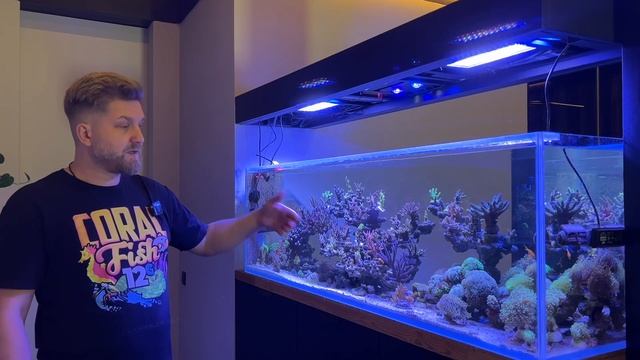 ОБЗОР МОРСКОГО АКВАРИУМА СЕРГЕЯ