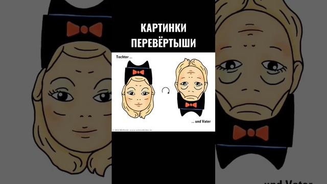 Картинки перевёртыши для детей и взрослых #иллюзия #shorts #short смотреть онлайн