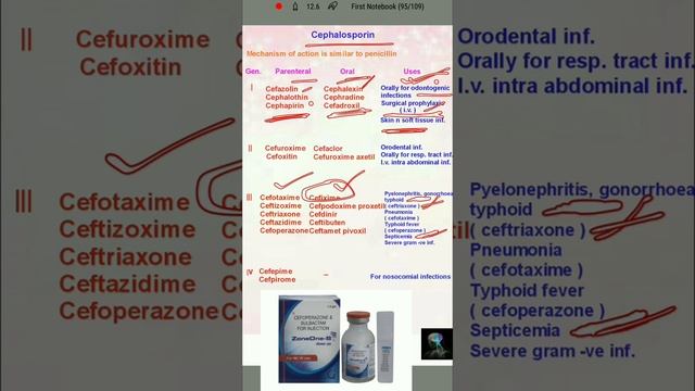 Cephalosporins Pharmacology | Macrolides Pharmacology | Antibiotics Pharmacology смотреть онлайн