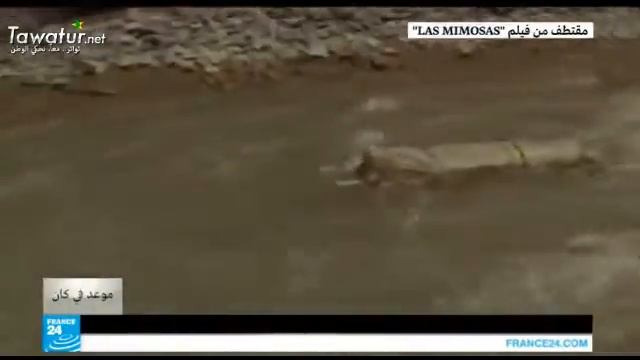 عندما تهلل الموسيقى الموريتانية في المحافل الدولية "وَيْدَلالي وَيْدَلَلْ" - فيلم "ميموزا"،كان 2016 смотреть онлайн