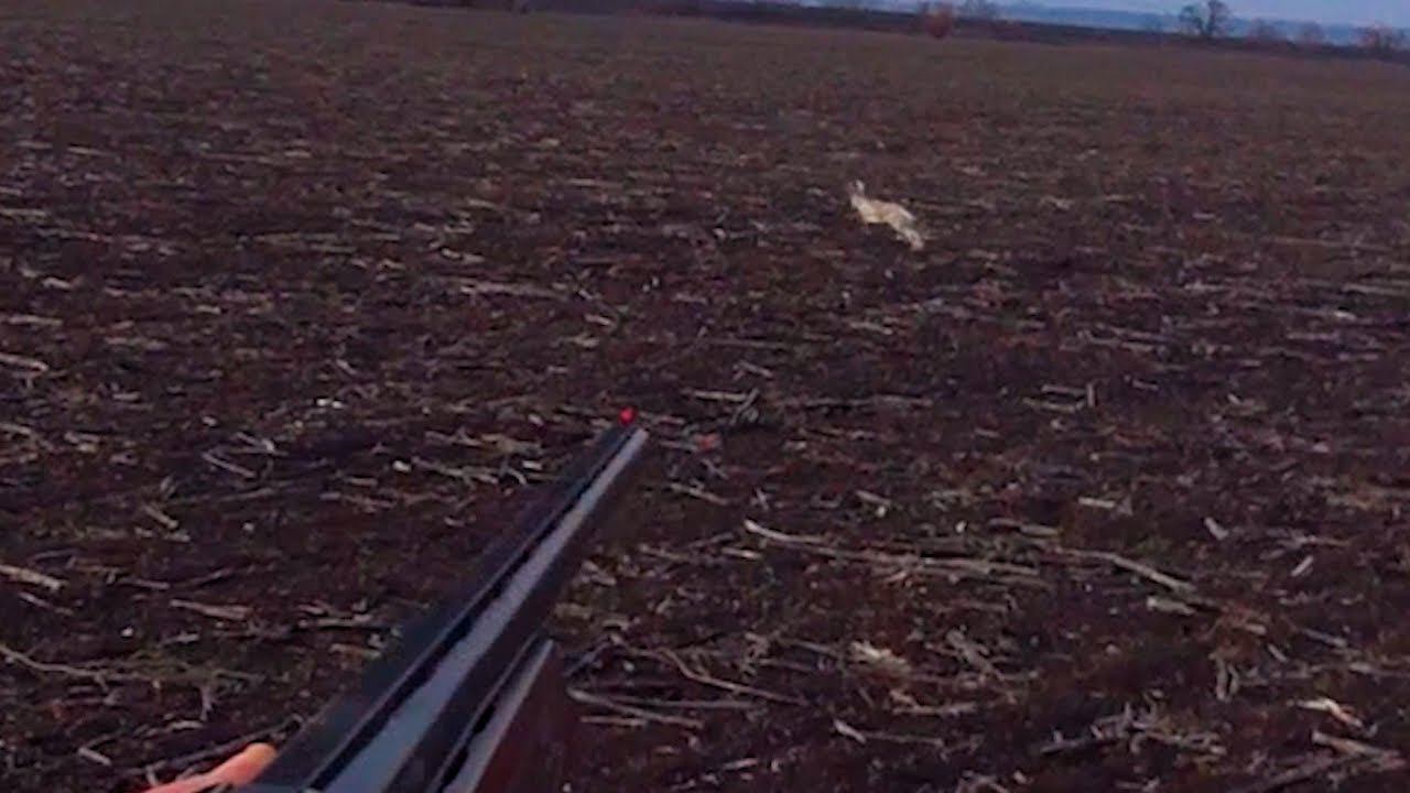 РАЗГОВАРИВАЮ С ЗАЙЦЕМ В ЛЁЖКЕ !!! ОХОТА НА ЗАЙЦА !!! смотреть онлайн