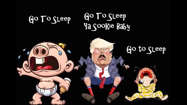 Donald Trump Is Still My President by The Orange Pekoe Teabag Band смотреть онлайн