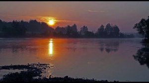 Зорька алая