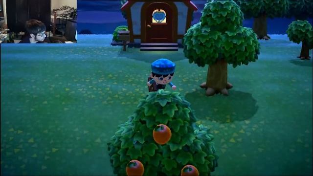 Animal Crossing New Horizons: Yay New Neighbors смотреть онлайн