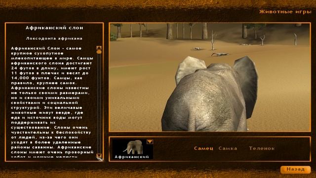 Hunting Unlimited 2010:Снова на охоту.